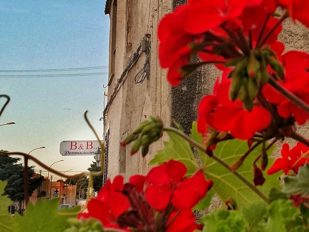 Bed and Breakfast Donnaciccinatrapani Rilievo Exterior foto